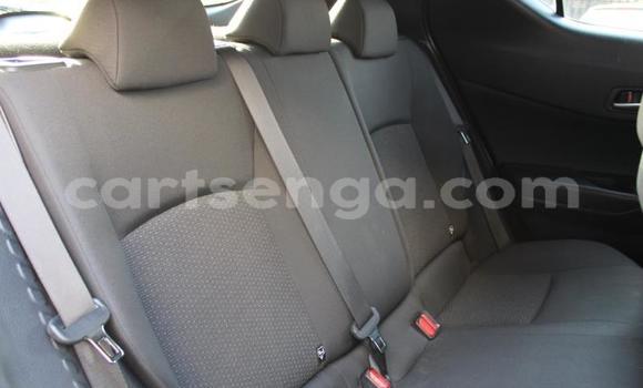 Buy Used Toyota C-HR Blue Car in Ezulwini in Hhohho Buy Used Toyota C-HR Blue Car in Ezulwini in Hhohho