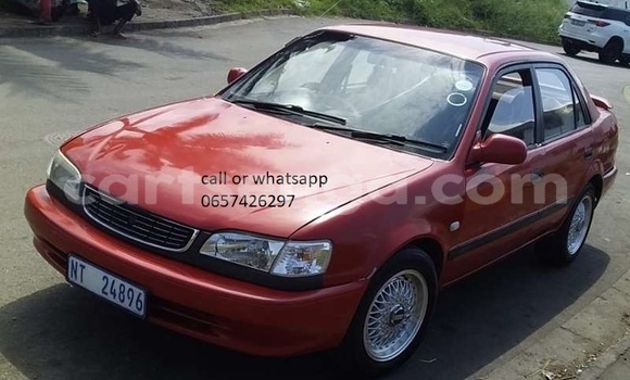 Nunua Ilio tumika Toyota Corolla Red Gari ndani ya Ezulwini nchini Hhohho Nunua Ilio tumika Toyota Corolla Red Gari ndani ya Ezulwini nchini Hhohho