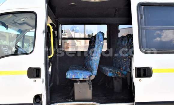 Buy Used Iveco Daily White Truck in Big Bend in Lubombo Buy Used Iveco Daily White Truck in Big Bend in Lubombo