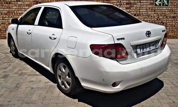 Buy Used Toyota Corolla White Car in Nhlangano in Shiselweni District Buy Used Toyota Corolla White Car in Nhlangano in Shiselweni District