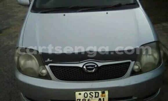 Buy Used Toyota Runx Silver Car in Manzini in Manzini Buy Used Toyota Runx Silver Car in Manzini in Manzini