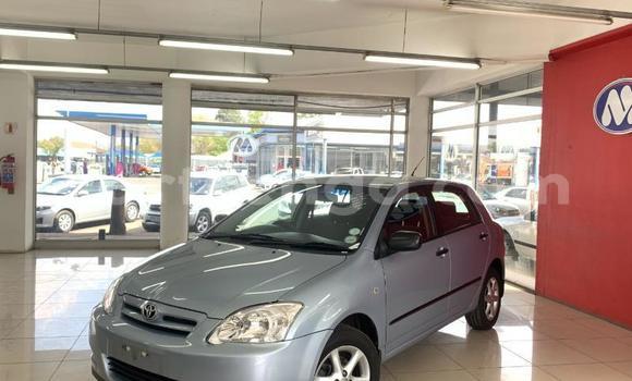 Acheter Occasion Voiture Toyota Runx Gris à Ezulwini, Hhohho