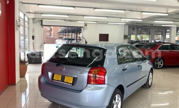 Nunua Ilio tumika Toyota Runx Silver Gari ndani ya Ezulwini nchini Hhohho Nunua Ilio tumika Toyota Runx Silver Gari ndani ya Ezulwini nchini Hhohho