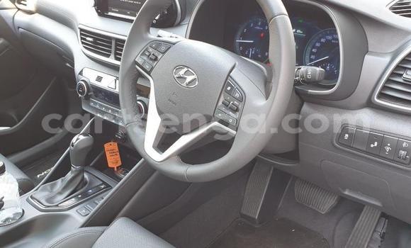 Acheter Occasion Voiture Hyundai Tucson Blanc à Malkerns, Manzini Acheter Occasion Voiture Hyundai Tucson Blanc à Malkerns, Manzini