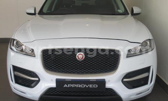 Nunua Ilio tumika Jaguar F-Pace White Gari ndani ya Mbabane nchini Manzini