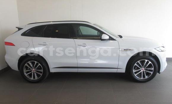 Nunua Ilio tumika Jaguar F-Pace White Gari ndani ya Mbabane nchini Manzini Nunua Ilio tumika Jaguar F-Pace White Gari ndani ya Mbabane nchini Manzini