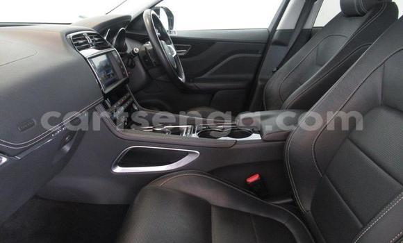 Nunua Ilio tumika Jaguar F-Pace White Gari ndani ya Mbabane nchini Manzini Nunua Ilio tumika Jaguar F-Pace White Gari ndani ya Mbabane nchini Manzini