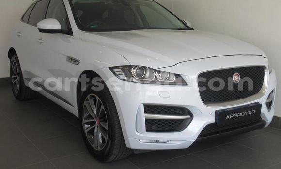 Nunua Ilio tumika Jaguar F-Pace White Gari ndani ya Mbabane nchini Manzini Nunua Ilio tumika Jaguar F-Pace White Gari ndani ya Mbabane nchini Manzini