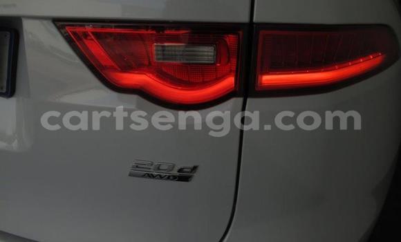 Nunua Ilio tumika Jaguar F-Pace White Gari ndani ya Mbabane nchini Manzini Nunua Ilio tumika Jaguar F-Pace White Gari ndani ya Mbabane nchini Manzini