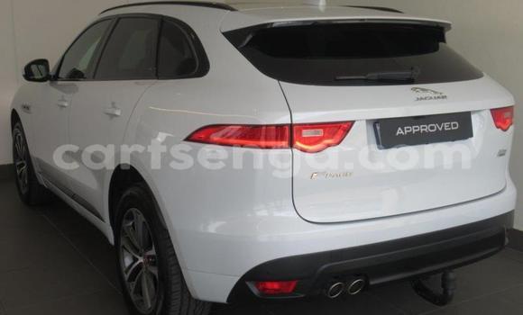 Nunua Ilio tumika Jaguar F-Pace White Gari ndani ya Mbabane nchini Manzini Nunua Ilio tumika Jaguar F-Pace White Gari ndani ya Mbabane nchini Manzini