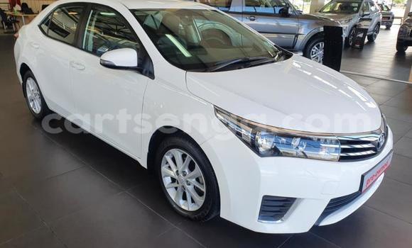 Acheter Occasion Voiture Toyota Corolla Blanc à Bulembu, Hhohho Acheter Occasion Voiture Toyota Corolla Blanc à Bulembu, Hhohho