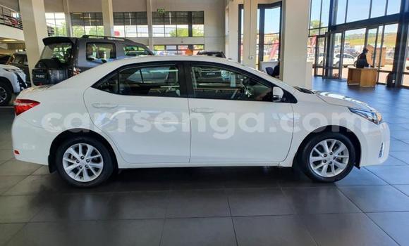 Acheter Occasion Voiture Toyota Corolla Blanc à Bulembu, Hhohho Acheter Occasion Voiture Toyota Corolla Blanc à Bulembu, Hhohho