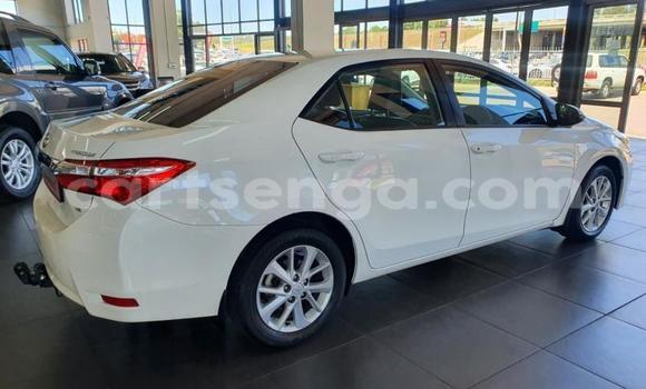 Acheter Occasion Voiture Toyota Corolla Blanc à Bulembu, Hhohho Acheter Occasion Voiture Toyota Corolla Blanc à Bulembu, Hhohho