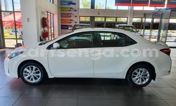 Acheter Occasion Voiture Toyota Corolla Blanc à Bulembu, Hhohho Acheter Occasion Voiture Toyota Corolla Blanc à Bulembu, Hhohho