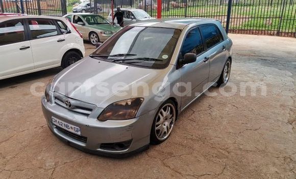 Buy Used Toyota Runx Silver Car in Bulembu in Hhohho