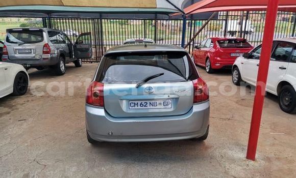 Nunua Ilio tumika Toyota Runx Silver Gari ndani ya Bulembu nchini Hhohho Nunua Ilio tumika Toyota Runx Silver Gari ndani ya Bulembu nchini Hhohho