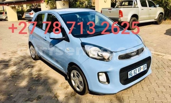 Buy Used Kia Picanto Blue Car in Big Bend in Lubombo District Buy Used Kia Picanto Blue Car in Big Bend in Lubombo District