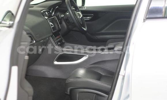 Acheter Occasion Voiture Jaguar F-Pace Gris à Mbabane, Manzini Acheter Occasion Voiture Jaguar F-Pace Gris à Mbabane, Manzini