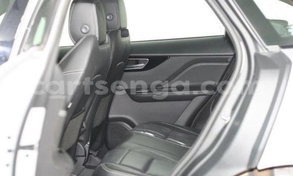 Acheter Occasion Voiture Jaguar F-Pace Gris à Mbabane, Manzini Acheter Occasion Voiture Jaguar F-Pace Gris à Mbabane, Manzini