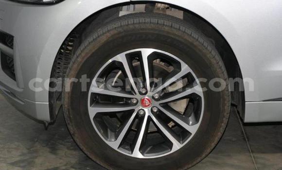 Acheter Occasion Voiture Jaguar F-Pace Gris à Mbabane, Manzini Acheter Occasion Voiture Jaguar F-Pace Gris à Mbabane, Manzini