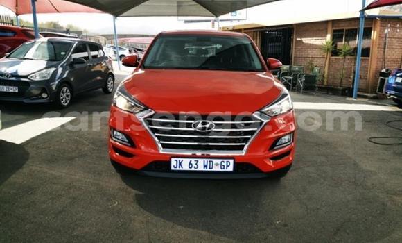 Medium with watermark hyundai tucson manzini manzini 21647