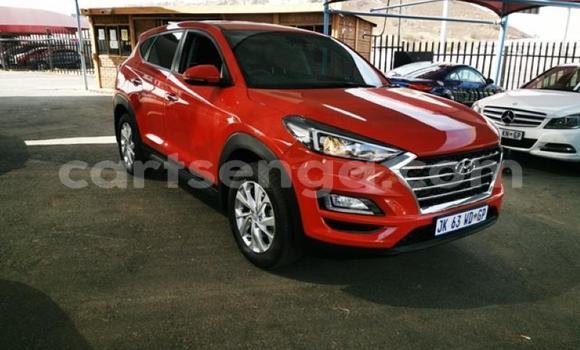 Acheter Occasion Voiture Hyundai Tucson Rouge à Manzini, Manzini Acheter Occasion Voiture Hyundai Tucson Rouge à Manzini, Manzini