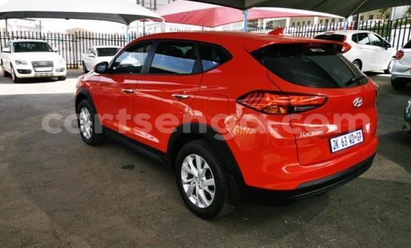 Acheter Occasion Voiture Hyundai Tucson Rouge à Manzini, Manzini Acheter Occasion Voiture Hyundai Tucson Rouge à Manzini, Manzini