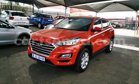 Acheter Occasion Voiture Hyundai Tucson Rouge à Manzini, Manzini Acheter Occasion Voiture Hyundai Tucson Rouge à Manzini, Manzini