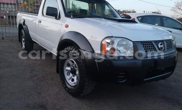 Buy Used Nissan Hardbody White Car in Ezulwini in Hhohho