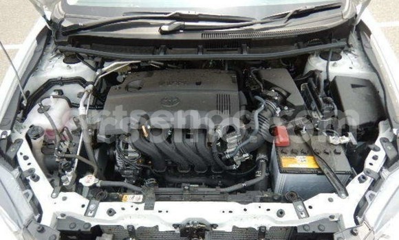 Buy Used Toyota Premio White Car in Bhunya in Manzini Buy Used Toyota Premio White Car in Bhunya in Manzini