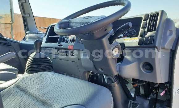 Acheter Occasion Utilitaire Isuzu FTR 850 Blanc à Mbabane, Manzini Acheter Occasion Utilitaire Isuzu FTR 850 Blanc à Mbabane, Manzini