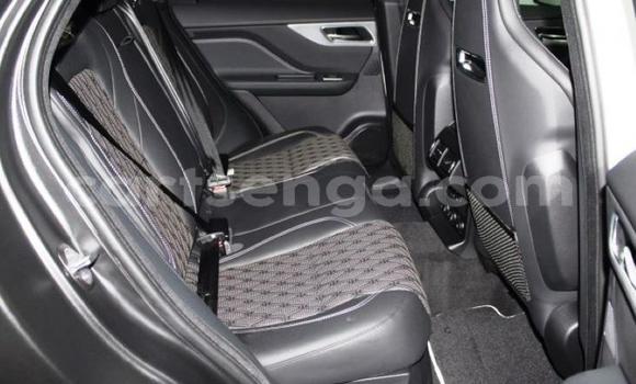 Acheter Occasion Voiture Jaguar F-Pace Blanc à Mbabane, Manzini Acheter Occasion Voiture Jaguar F-Pace Blanc à Mbabane, Manzini