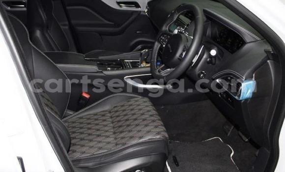 Acheter Occasion Voiture Jaguar F-Pace Blanc à Mbabane, Manzini Acheter Occasion Voiture Jaguar F-Pace Blanc à Mbabane, Manzini