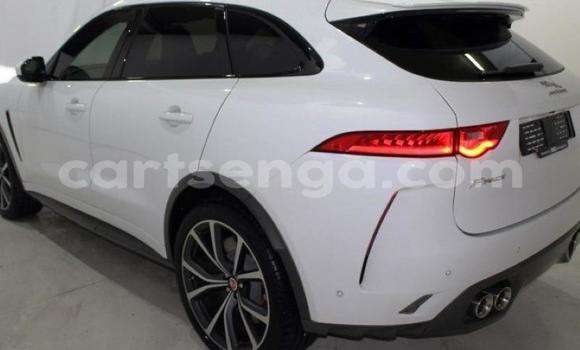 Acheter Occasion Voiture Jaguar F-Pace Blanc à Mbabane, Manzini Acheter Occasion Voiture Jaguar F-Pace Blanc à Mbabane, Manzini