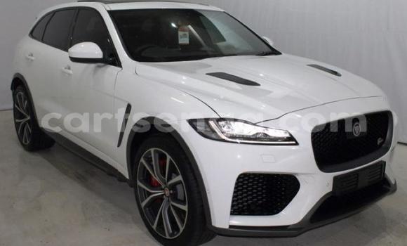Acheter Occasion Voiture Jaguar F-Pace Blanc à Mbabane, Manzini Acheter Occasion Voiture Jaguar F-Pace Blanc à Mbabane, Manzini
