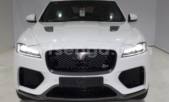 Acheter Occasion Voiture Jaguar F-Pace Blanc à Mbabane, Manzini Acheter Occasion Voiture Jaguar F-Pace Blanc à Mbabane, Manzini