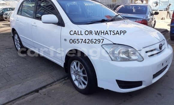 Buy Used Toyota Runx White Car in Bulembu in Hhohho Buy Used Toyota Runx White Car in Bulembu in Hhohho