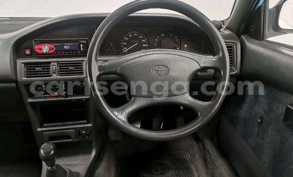 Buy Used Toyota Corolla Green Car in Mbabane in Manzini Buy Used Toyota Corolla Green Car in Mbabane in Manzini