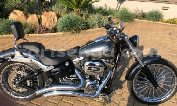 Acheter Occasion Moto Harley Davidson Softail Noir à Mbabane, Manzini Acheter Occasion Moto Harley Davidson Softail Noir à Mbabane, Manzini