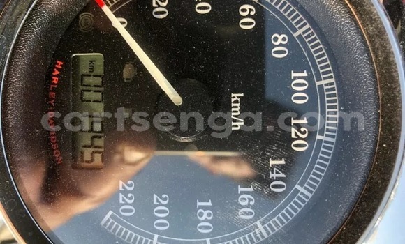 Acheter Occasion Moto Harley Davidson Softail Noir à Mbabane, Manzini Acheter Occasion Moto Harley Davidson Softail Noir à Mbabane, Manzini