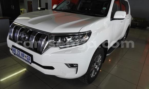 Acheter Occasion Voiture Toyota Land Cruiser Prado Blanc à Ezulwini, Hhohho Acheter Occasion Voiture Toyota Land Cruiser Prado Blanc à Ezulwini, Hhohho