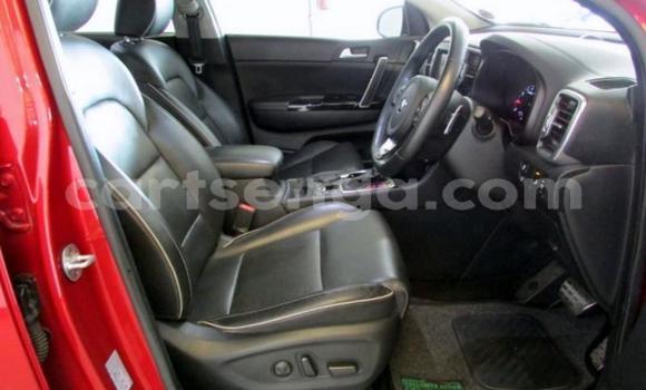 Buy Used Kia Sportage Red Car in Manzini in Manzini Buy Used Kia Sportage Red Car in Manzini in Manzini