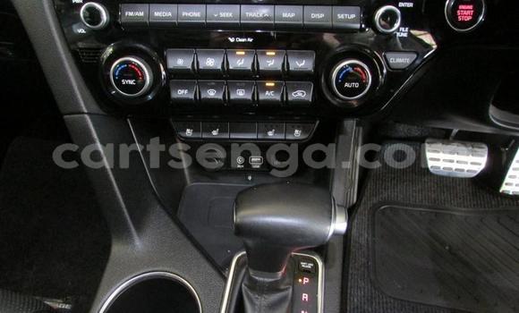 Buy Used Kia Sportage Red Car in Manzini in Manzini Buy Used Kia Sportage Red Car in Manzini in Manzini