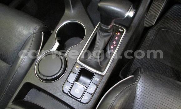 Buy Used Kia Sportage Red Car in Manzini in Manzini Buy Used Kia Sportage Red Car in Manzini in Manzini