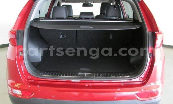Buy Used Kia Sportage Red Car in Manzini in Manzini Buy Used Kia Sportage Red Car in Manzini in Manzini