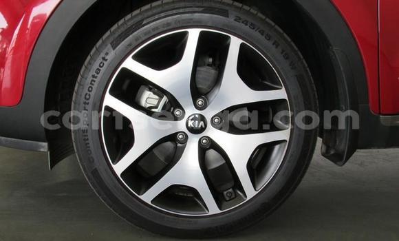 Buy Used Kia Sportage Red Car in Manzini in Manzini Buy Used Kia Sportage Red Car in Manzini in Manzini