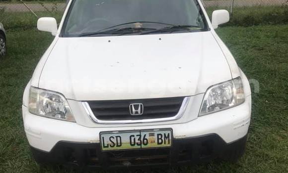 Acheter Occasion Voiture Honda CR–V Blanc à Manzini, Manzini