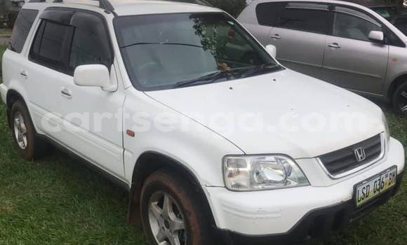 Nunua Ilio tumika Honda CR–V White Gari ndani ya Manzini nchini Manzini Nunua Ilio tumika Honda CR–V White Gari ndani ya Manzini nchini Manzini