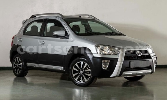 Buy Used Toyota Etios Silver Car in Nsoko in Lubombo District
