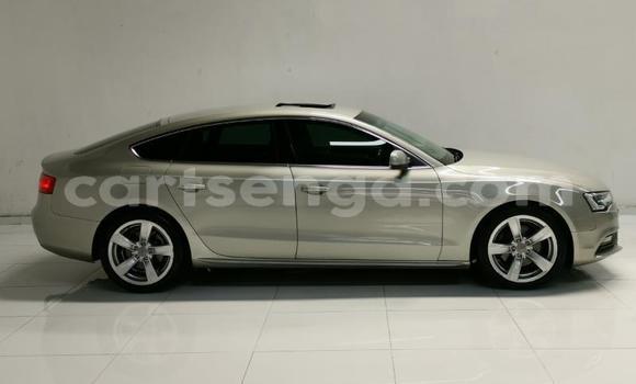 Buy Used Audi A5 Beige Car in Mbabane in Manzini Buy Used Audi A5 Beige Car in Mbabane in Manzini